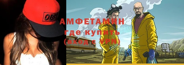 хмурый Алексин