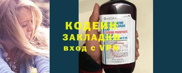 хмурый Алексин