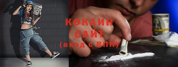 хмурый Алексин