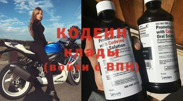 хмурый Алексин