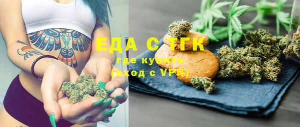 хмурый Алексин