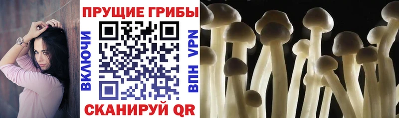 Псилоцибиновые грибы мицелий  omg ССЫЛКА  Анадырь  где купить наркоту 